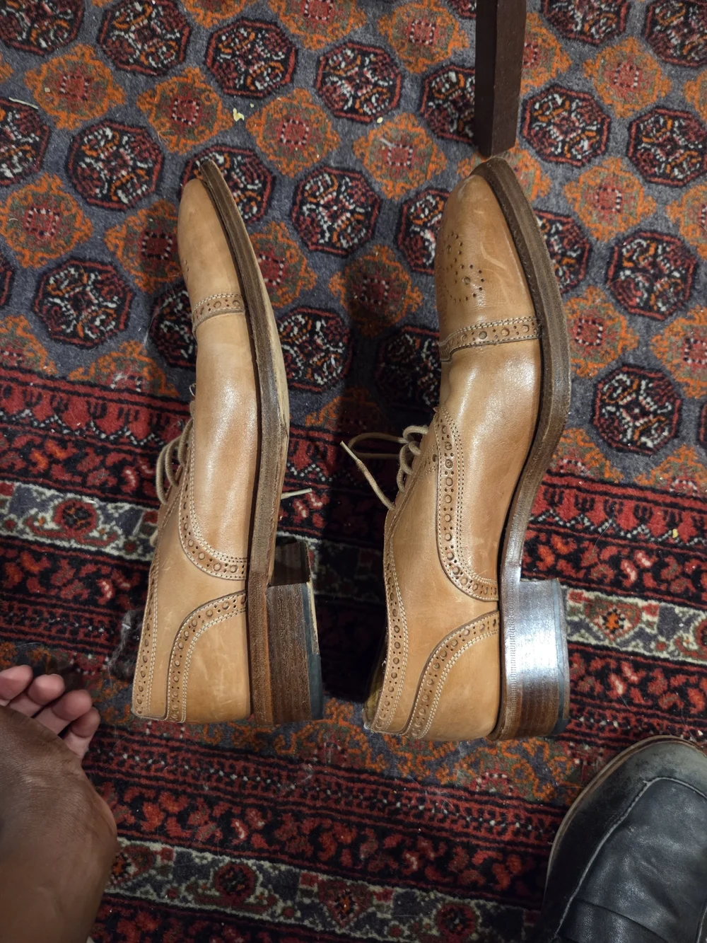 Bruno Magli Tan Leather Brogue Oxfords